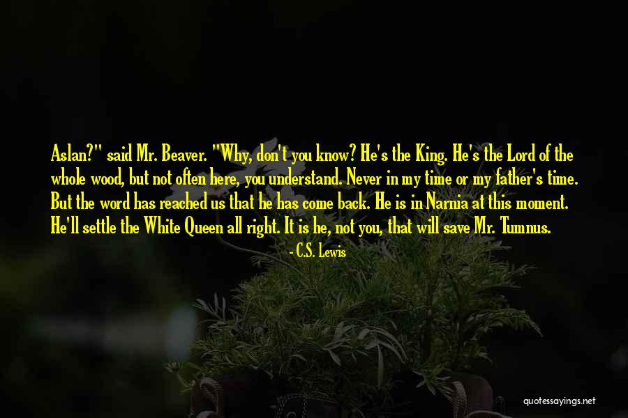 Narnia Aslan Quotes By C.S. Lewis Narnia Aslan Quotes By C.S. Lewis
