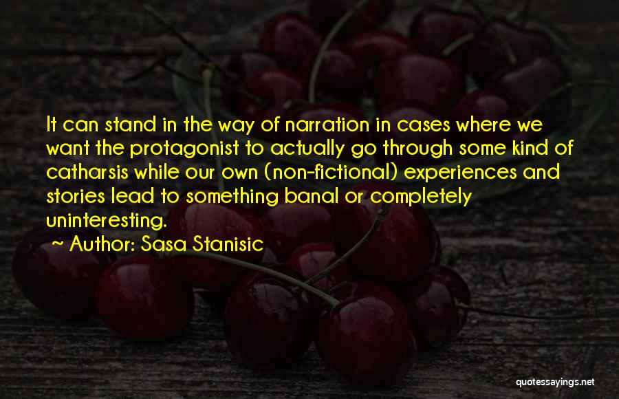 Narration Quotes By Sasa Stanisic