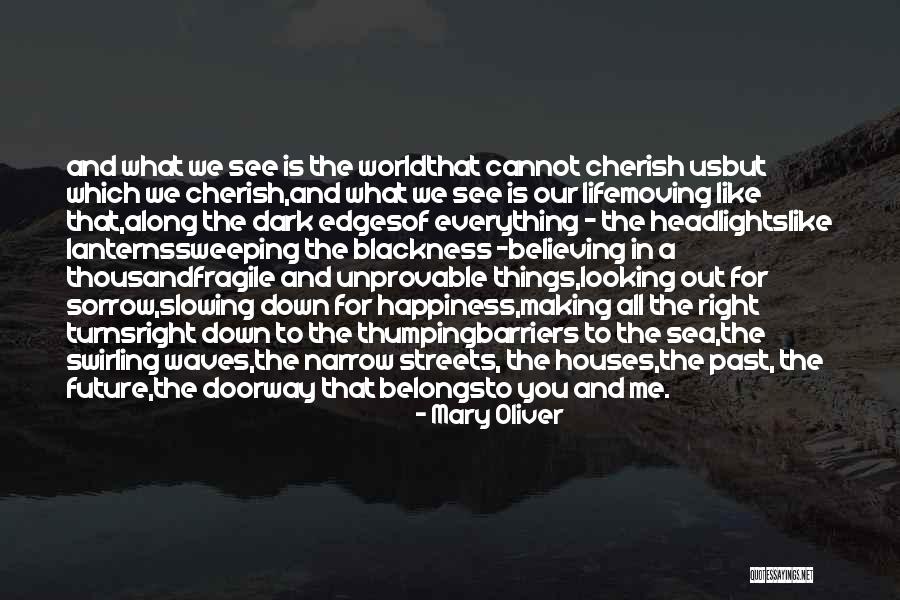 Narrow Down Quotes By Mary Oliver Narrow Down Quotes By Mary Oliver