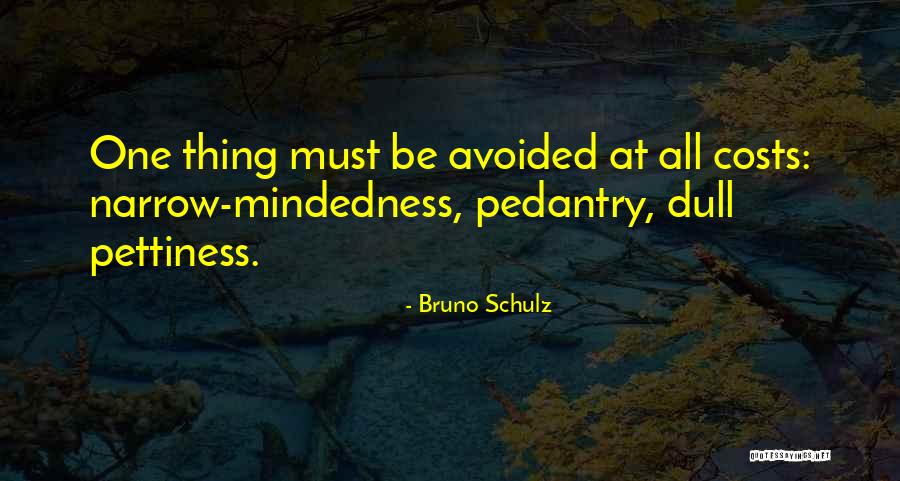 Narrow Mindedness Quotes By Bruno Schulz