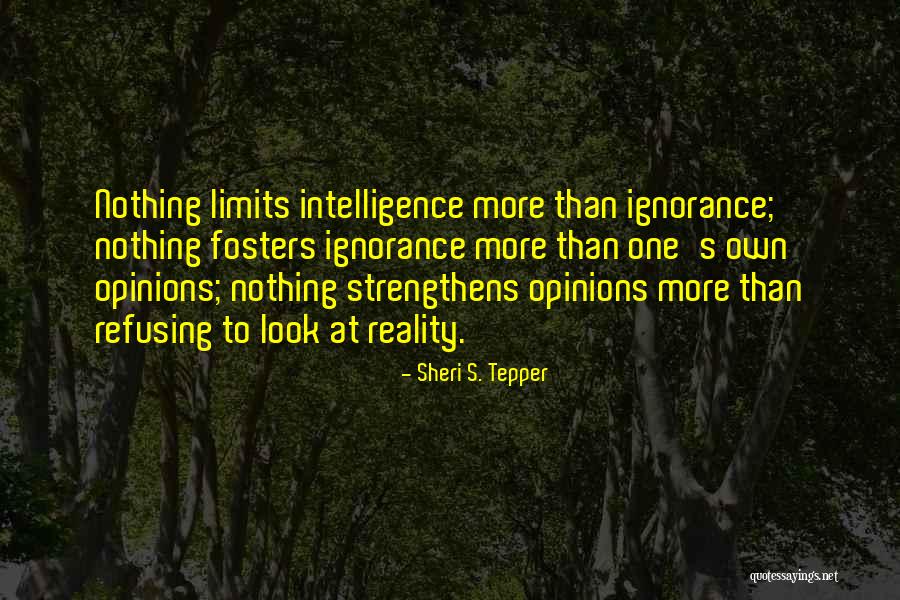 Narrow Mindedness Quotes By Sheri S. Tepper