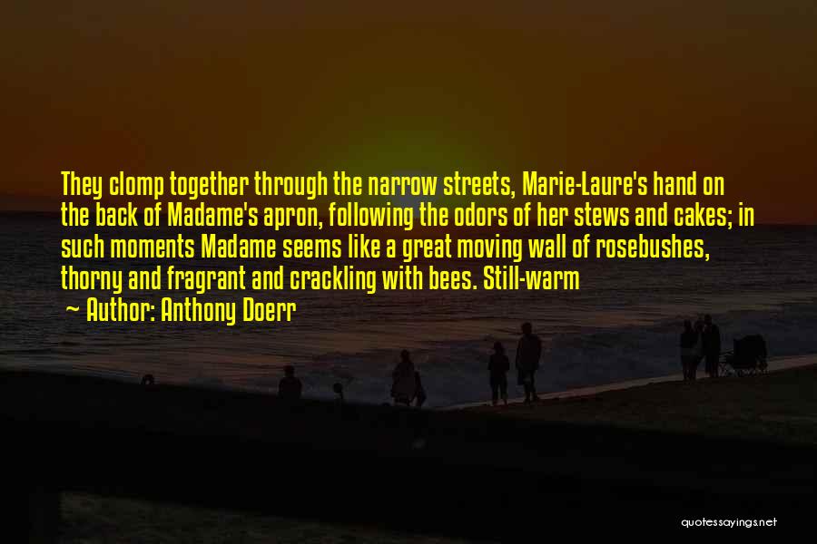 Narrow Streets Quotes By Anthony Doerr