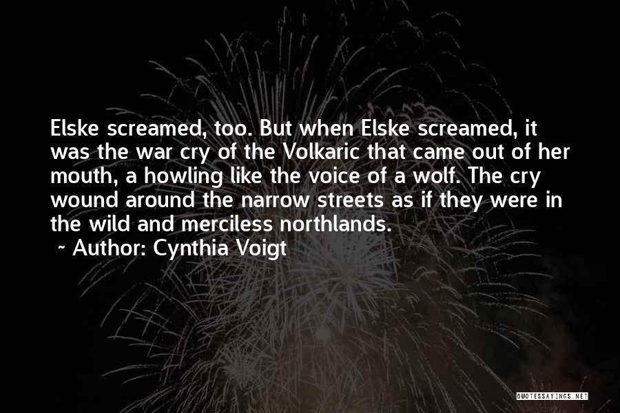 Narrow Streets Quotes By Cynthia Voigt