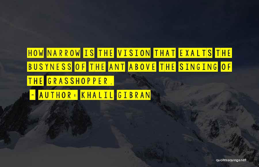 Narrow Vision Quotes By Khalil Gibran