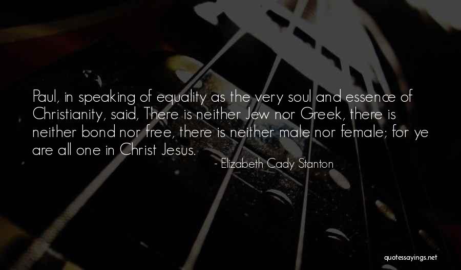 Narsingh Yadav Quotes By Elizabeth Cady Stanton Narsingh Yadav Quotes By Elizabeth Cady Stanton