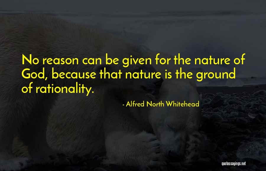 Narthanalaya Quotes By Alfred North Whitehead Narthanalaya Quotes By Alfred North Whitehead