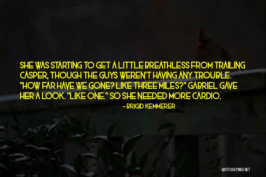 Narthanasala Quotes By Brigid Kemmerer Narthanasala Quotes By Brigid Kemmerer