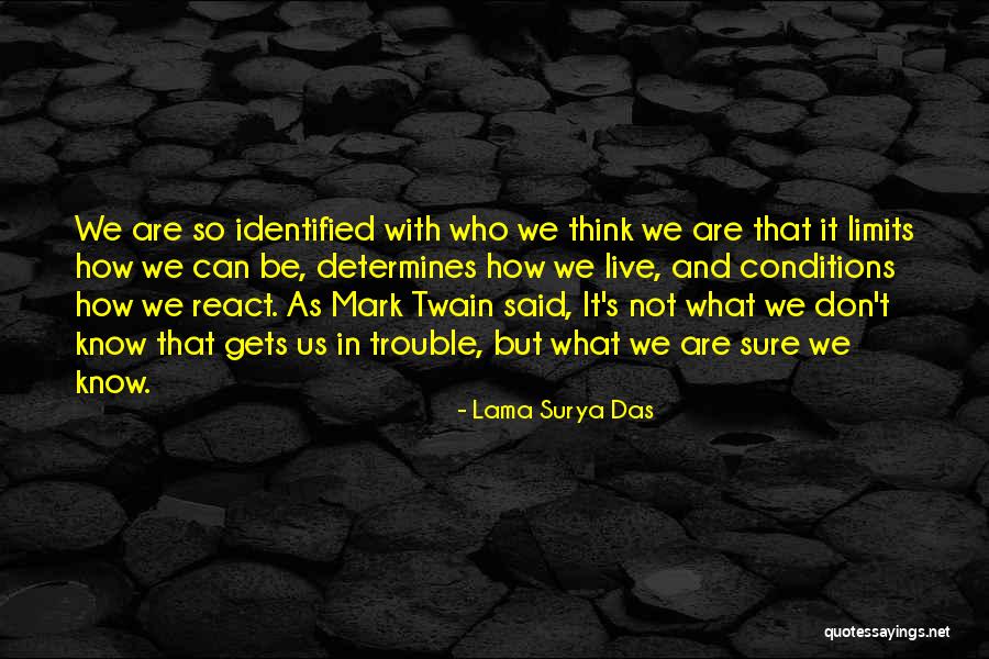 Nartsissid Quotes By Lama Surya Das Nartsissid Quotes By Lama Surya Das