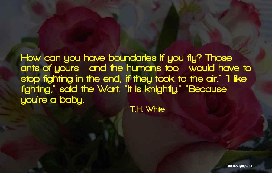 Naruto Meets Minato Quotes By T.H. White Naruto Meets Minato Quotes By T.H. White