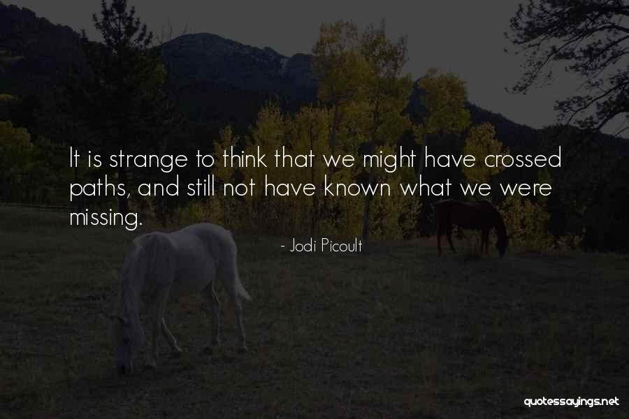 Narwalio Quotes By Jodi Picoult Narwalio Quotes By Jodi Picoult