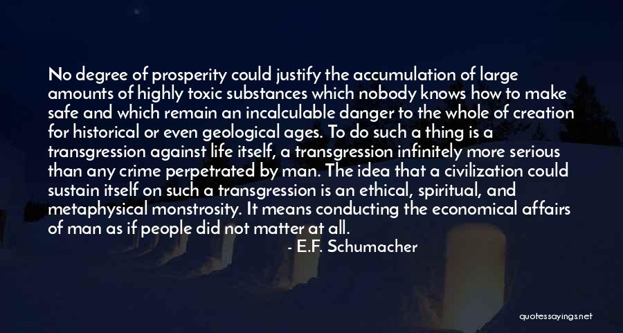 Narzekamy Quotes By E.F. Schumacher Narzekamy Quotes By E.F. Schumacher