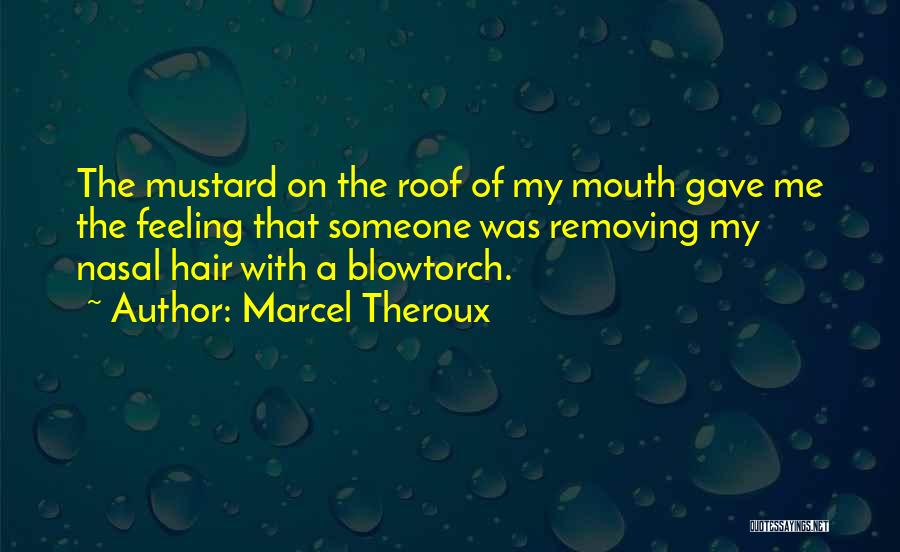 Nasal Quotes By Marcel Theroux