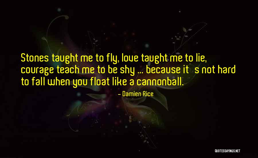 Nascondi In English Quotes By Damien Rice Nascondi In English Quotes By Damien Rice
