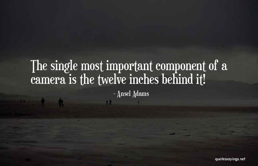 Nashaat Ibraheim Quotes By Ansel Adams Nashaat Ibraheim Quotes By Ansel Adams