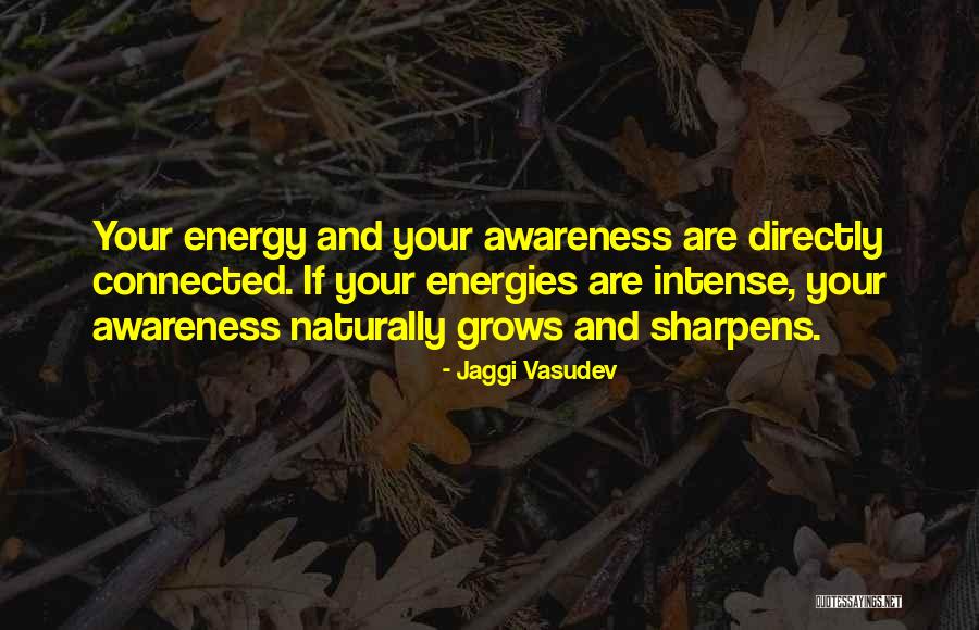 Nashaat Ibraheim Quotes By Jaggi Vasudev Nashaat Ibraheim Quotes By Jaggi Vasudev
