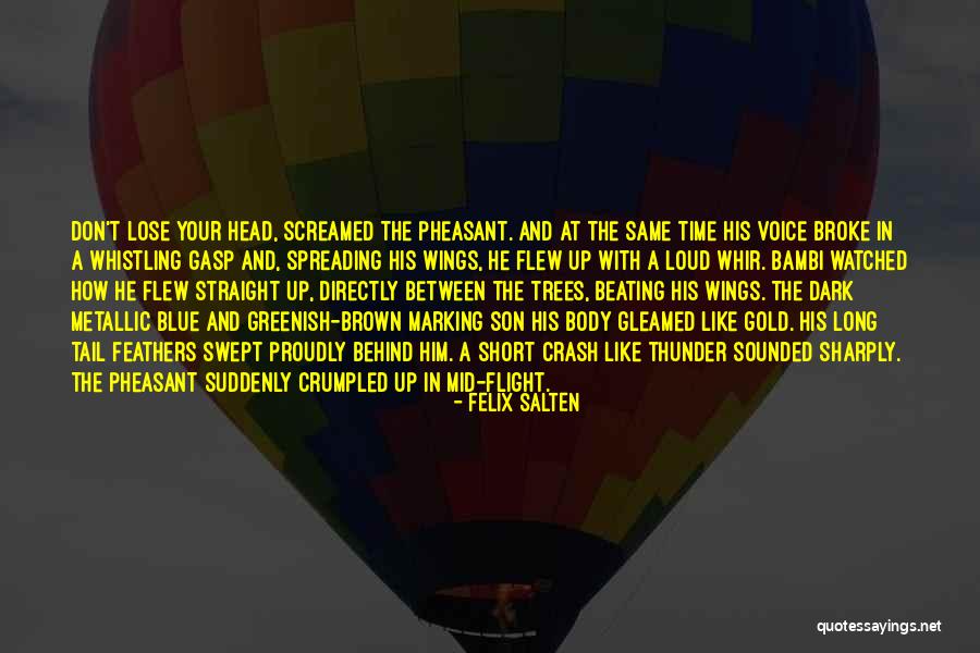Nasia Vessel Quotes By Felix Salten Nasia Vessel Quotes By Felix Salten
