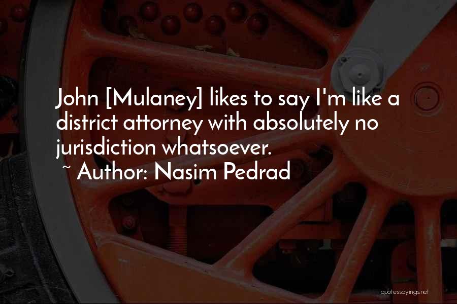 Nasim Pedrad Quotes 1103243