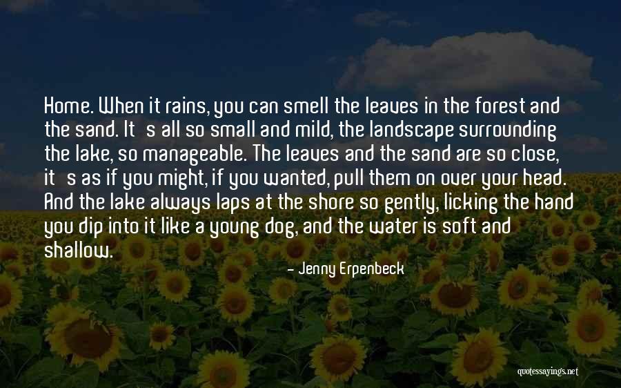 Nasitis Quotes By Jenny Erpenbeck Nasitis Quotes By Jenny Erpenbeck