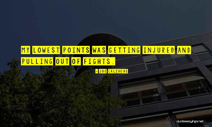 Nassers Successor Quotes By Joe Calzaghe Nassers Successor Quotes By Joe Calzaghe
