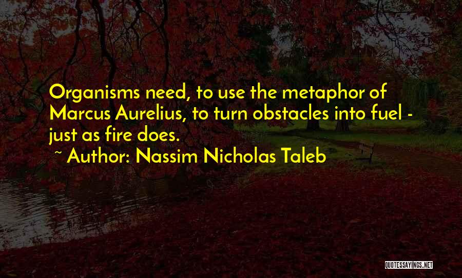 Nassim Nicholas Taleb Quotes 413100