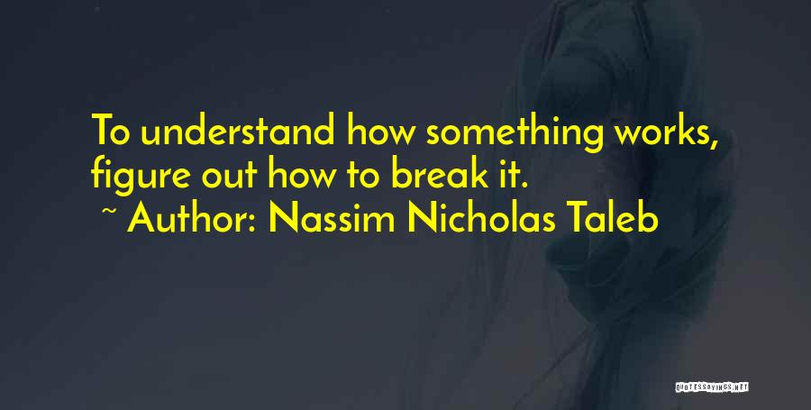 Nassim Nicholas Taleb Quotes 622974