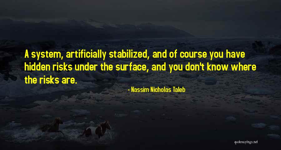 Nassim Taleb Risk Quotes By Nassim Nicholas Taleb Nassim Taleb Risk Quotes By Nassim Nicholas Taleb