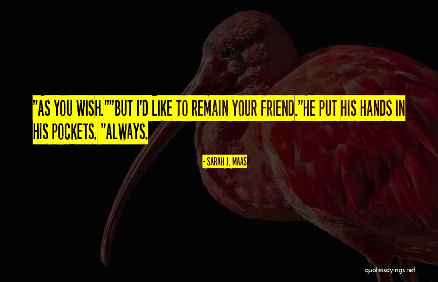 Nassim Talebs Quotes By Sarah J. Maas Nassim Talebs Quotes By Sarah J. Maas
