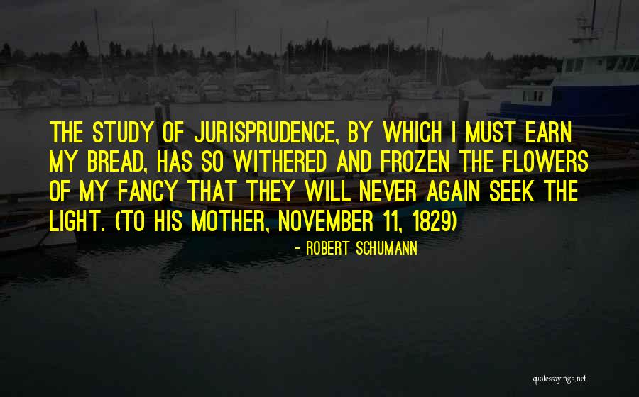 Nassir Medical Corporation Quotes By Robert Schumann Nassir Medical Corporation Quotes By Robert Schumann