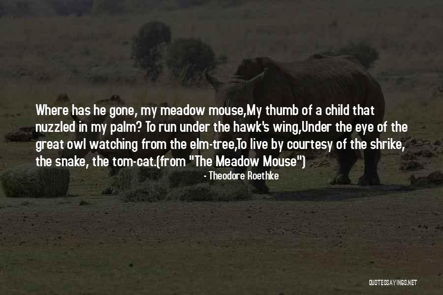 Nastavi Niz Quotes By Theodore Roethke Nastavi Niz Quotes By Theodore Roethke