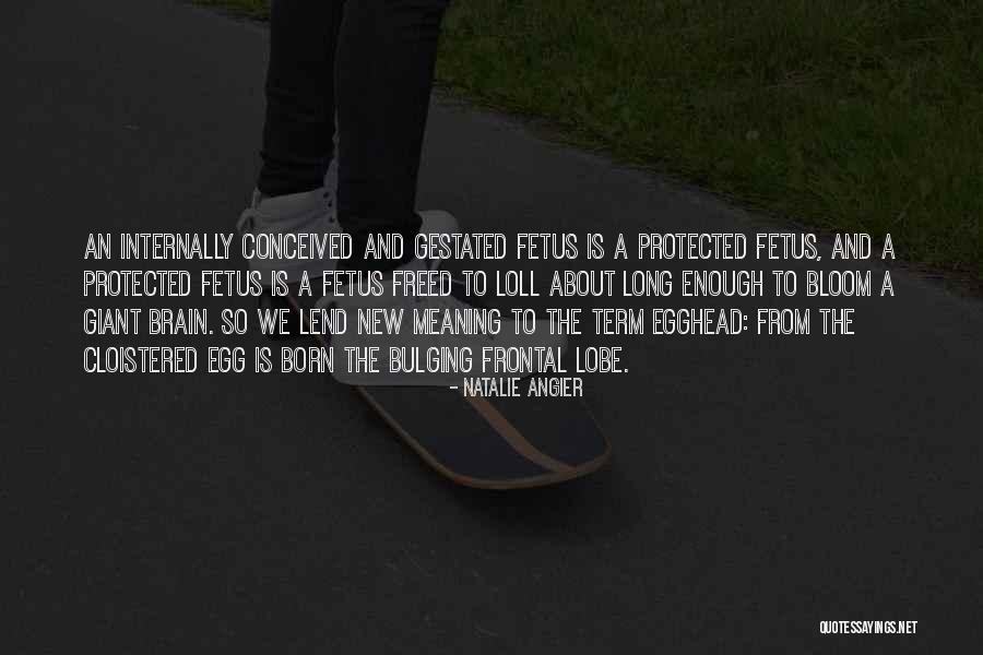 Natalie Angier Quotes 1397248 Natalie Angier Quotes 1397248