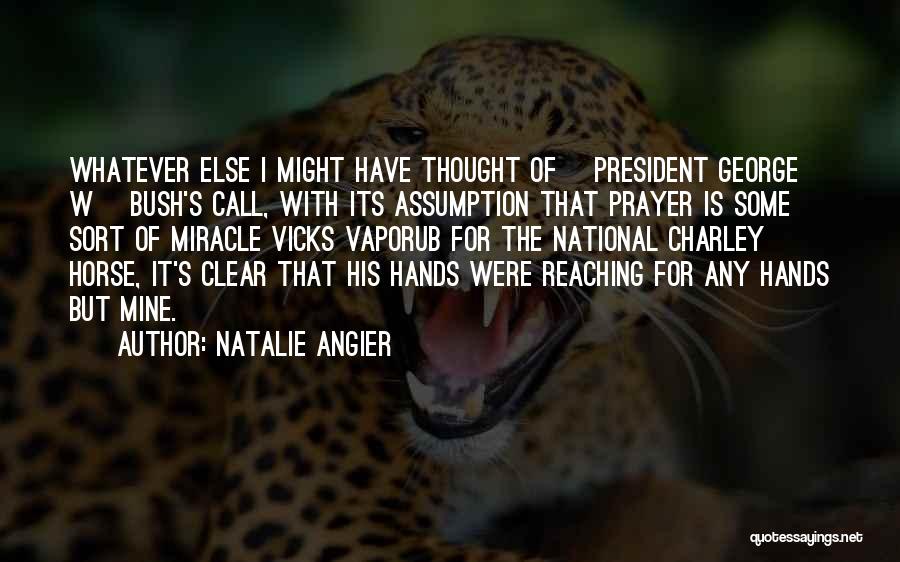 Natalie Angier Quotes 2262872