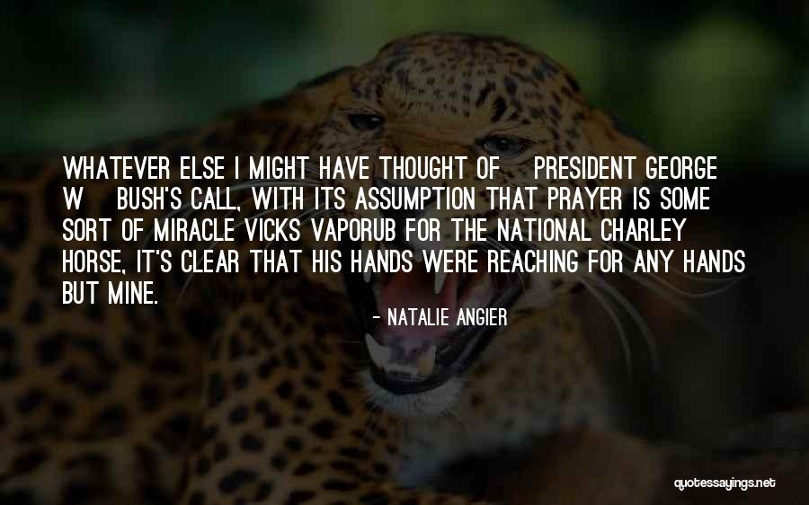 Natalie Angier Quotes 2262872