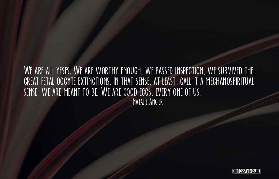 Natalie Angier Quotes 424048 Natalie Angier Quotes 424048