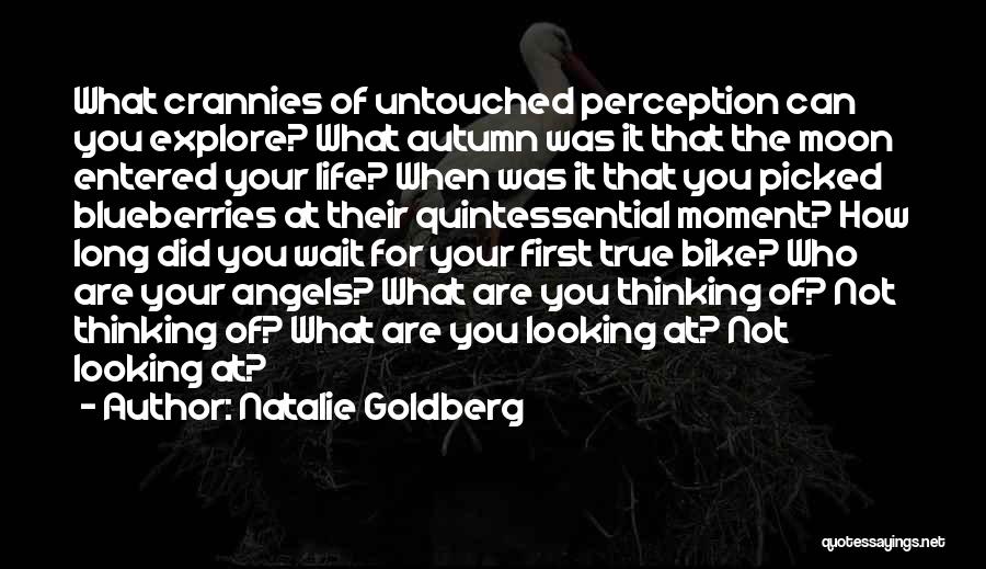 Natalie Goldberg Quotes 1219409