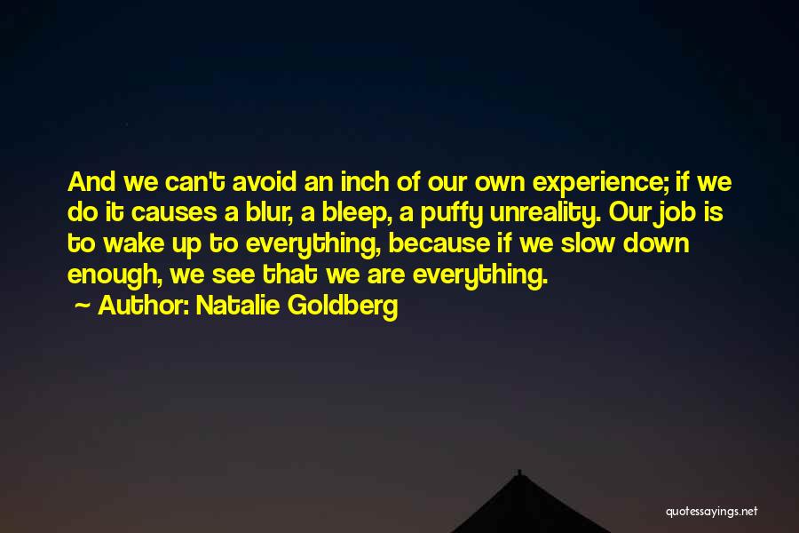 Natalie Goldberg Quotes 314378