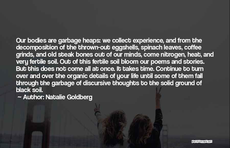 Natalie Goldberg Quotes 363933