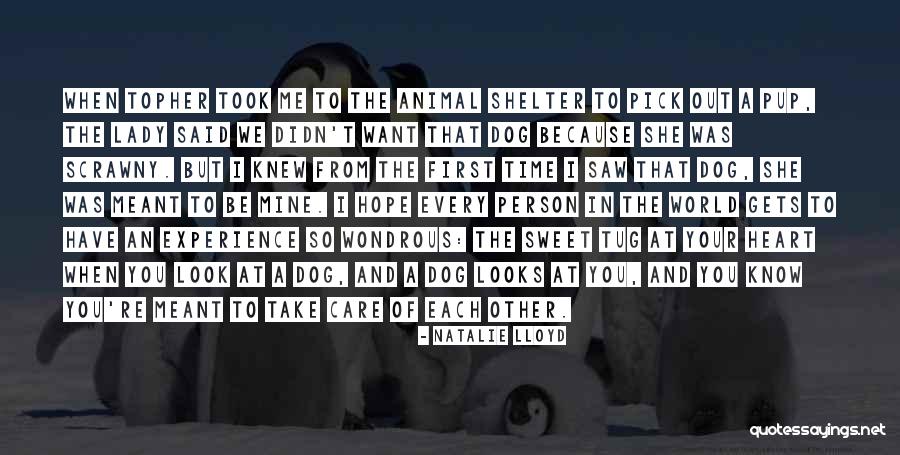 Natalie Lloyd Quotes 146202 Natalie Lloyd Quotes 146202