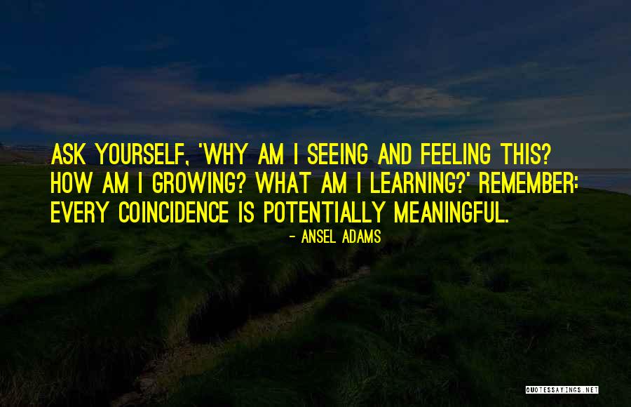 Natalieaustin Quotes By Ansel Adams Natalieaustin Quotes By Ansel Adams