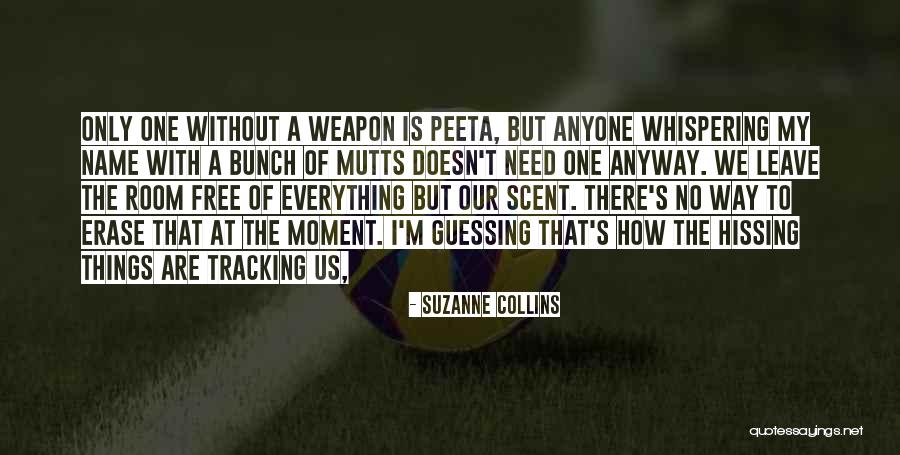 Natalja Sticco Quotes By Suzanne Collins Natalja Sticco Quotes By Suzanne Collins