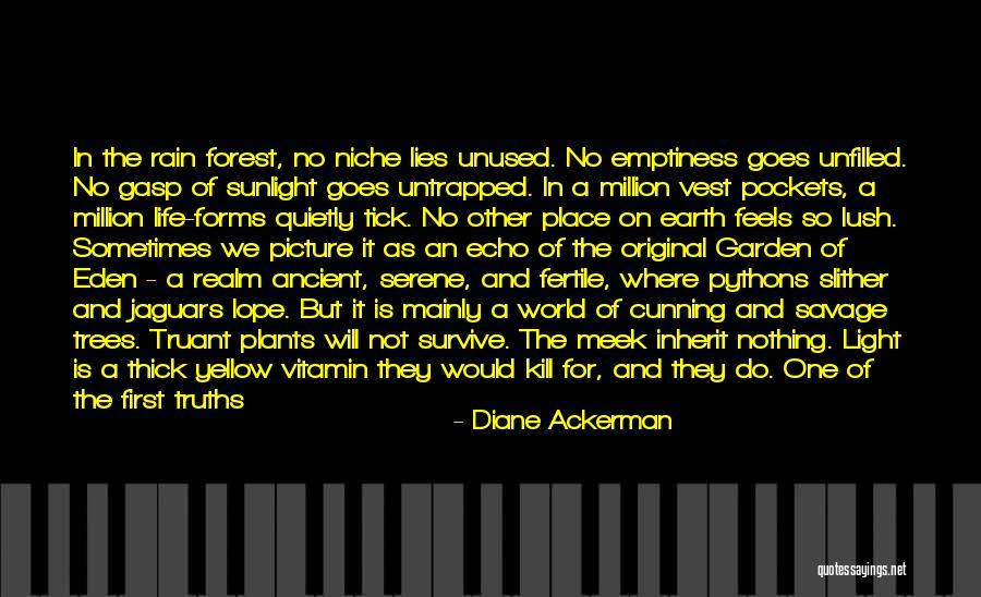 Natallia Ramanouskaya Quotes By Diane Ackerman Natallia Ramanouskaya Quotes By Diane Ackerman