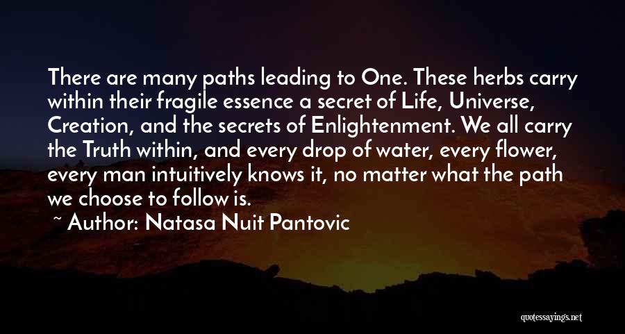 Natasa Nuit Pantovic Quotes 1159408