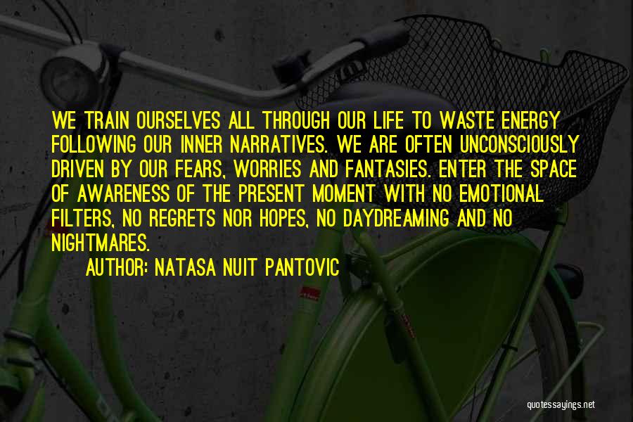 Natasa Nuit Pantovic Quotes 701021