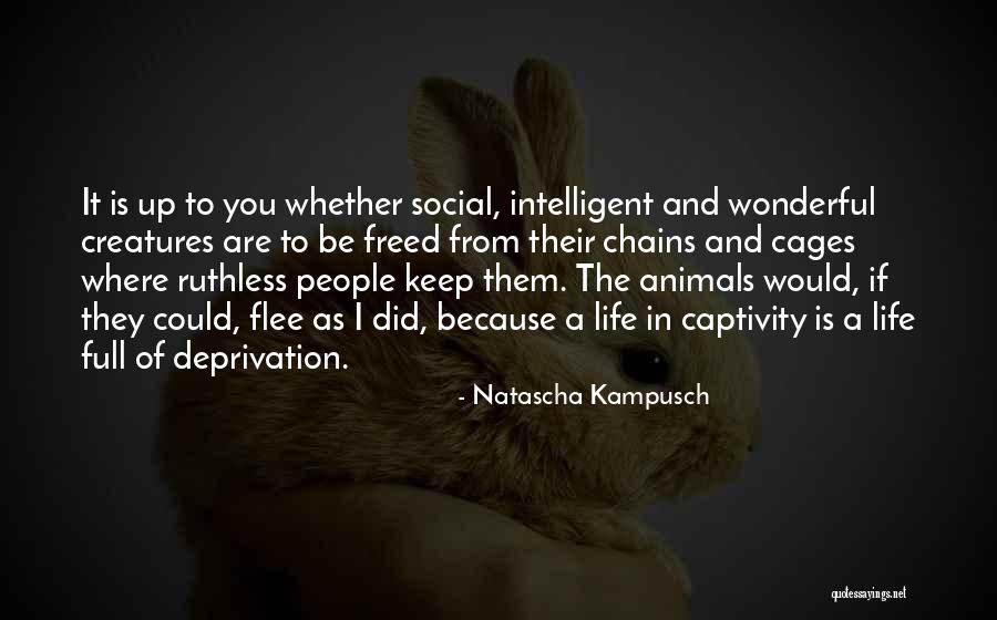 Natascha Kampusch Quotes 1653411