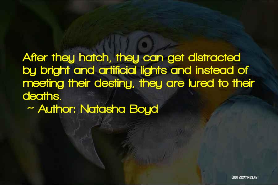 Natasha Boyd Quotes 350638