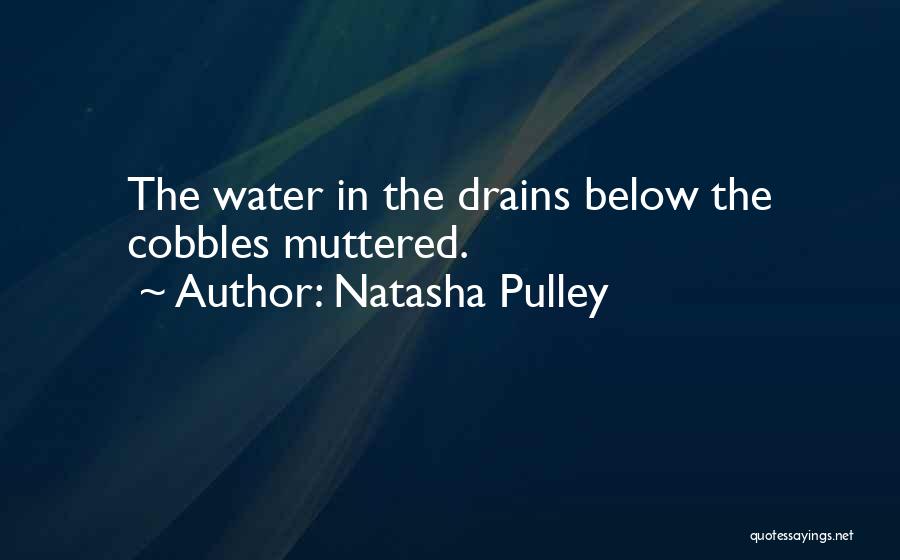 Natasha Pulley Quotes 300226