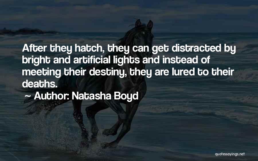 Natasha Quotes By Natasha Boyd