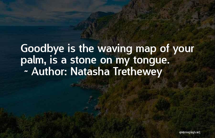 Natasha Trethewey Quotes 1475208