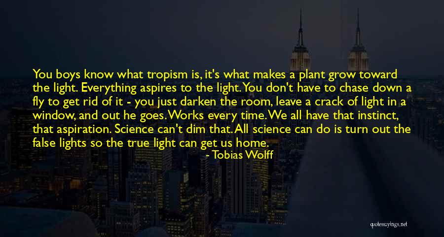 Natercia Maria Quotes By Tobias Wolff Natercia Maria Quotes By Tobias Wolff