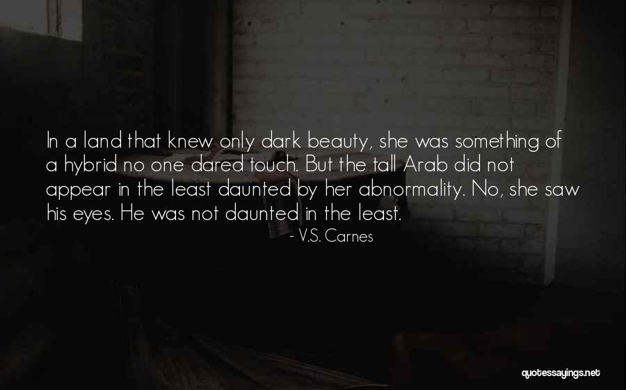 Nathan Mcbride Quotes By V.S. Carnes Nathan Mcbride Quotes By V.S. Carnes
