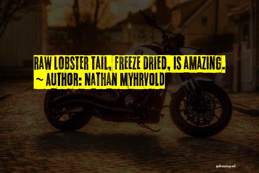 Nathan Myhrvold Quotes 903083